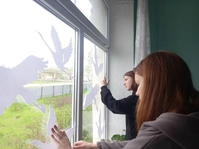 9NTU1stuzHmnF1KaPTDRXqRNwu7HMWiTT1HZmzGsj381hwg3ItDv6hTaJroIFlsMwTmHjygYWfGH54FAbzZVy_6W