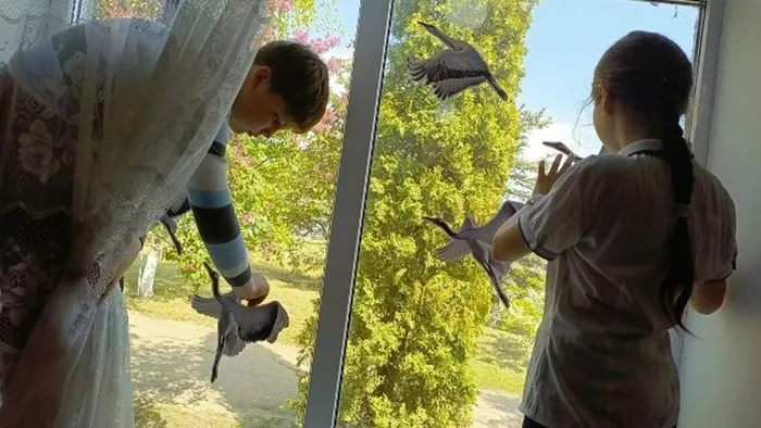 psycWFFySd1_z7w2mweJInt78lY_n-yOD_SxGGF0t384CSUavUUX8BvpSZoy40tYUuYI4J59um92URg-1_uLjyWx