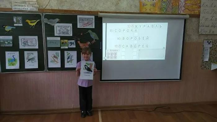 I4AVeOqGHiqOoJxIMR2XR10DFAYUn-ErK4bPPk2bgB8W6pYakoIRNOLB-hZoraoxQJU6a3M6a5MDO3q2oPaHImJl
