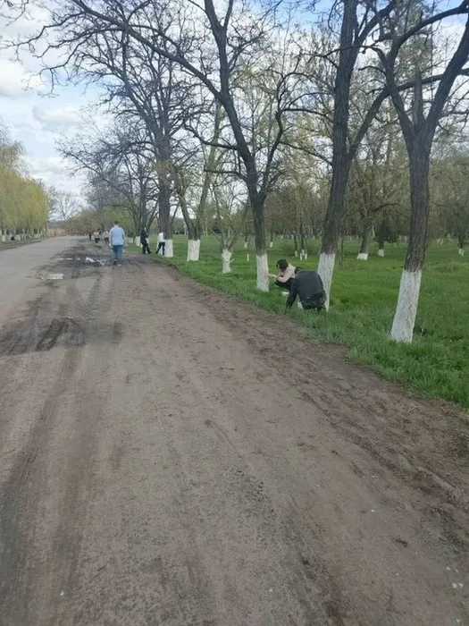 qhNwciGpeSap5wzEQ-AegaWLpHzohC0eHWvYKvBlovHu0O99D32m2tGe3kj8D3AXZT-0wPp9Tgm5dis5fo9qRriA